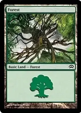 Forest