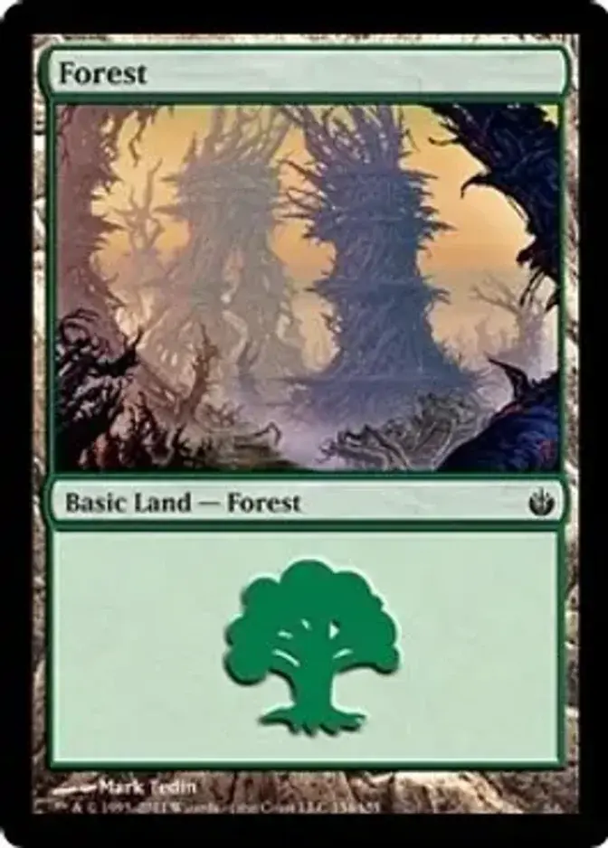 Forest <154> [MBS]