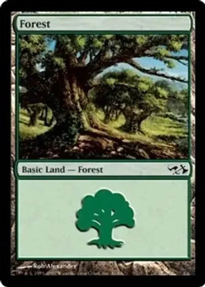Forest <31> [EVG]