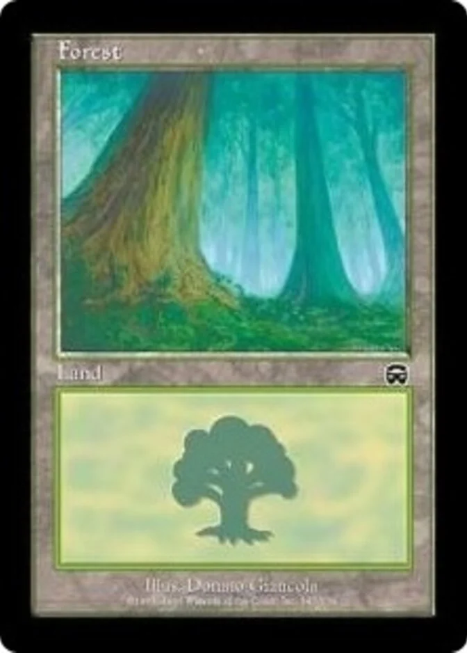 Forest <347> [MM]