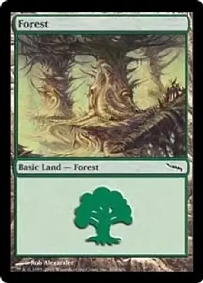 Forest <304> [MRD]