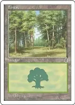 Forest