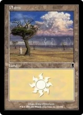Plains