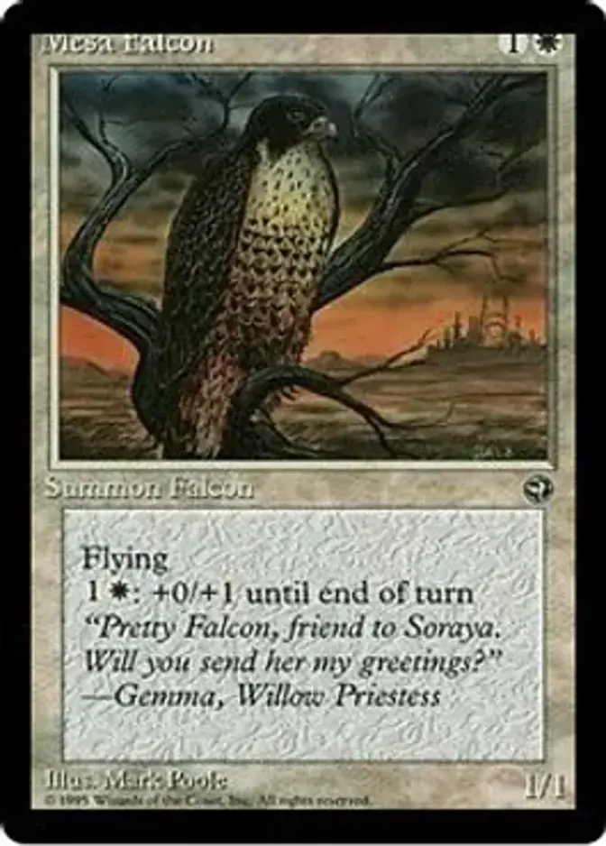 Mesa Falcon <B> [HML]