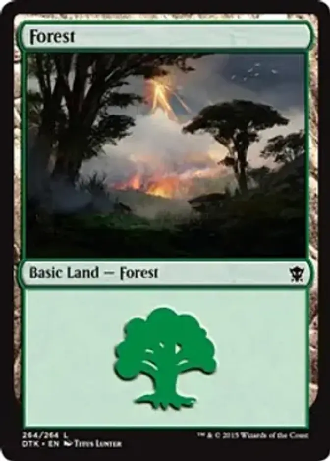 Forest <264> [DTK] (F)