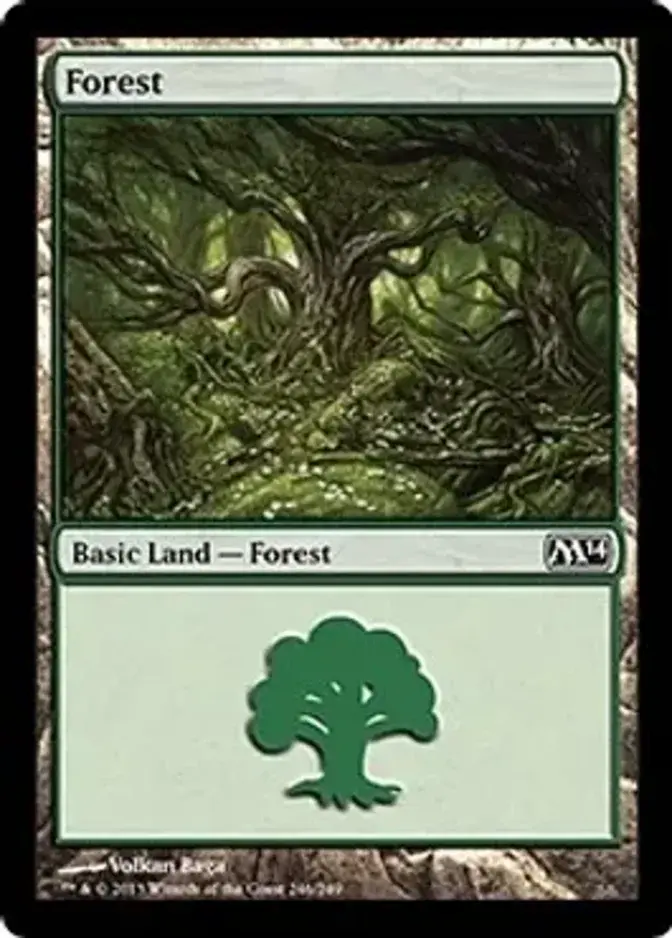 Forest <246> [M14] (F)