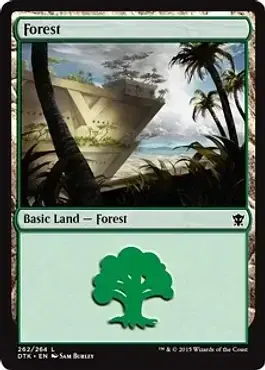 Forest