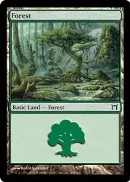 Forest