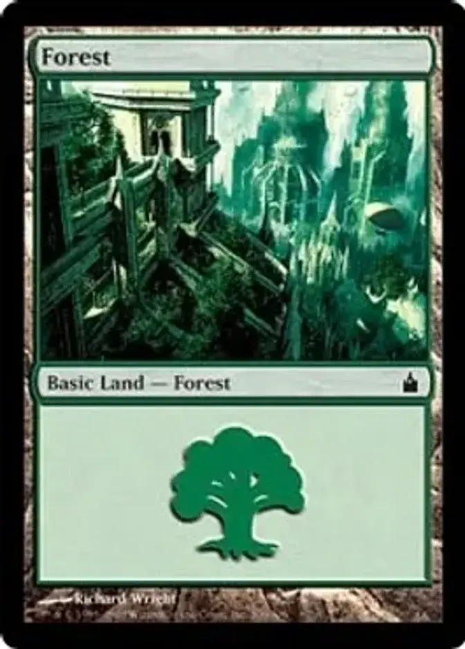 Forest <306> [RAV] (F)
