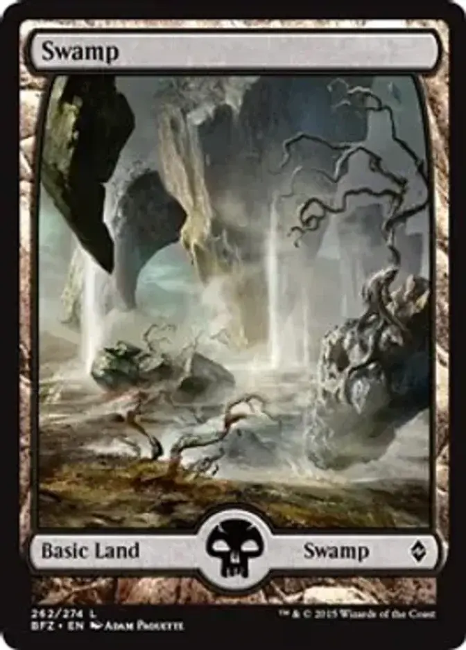 Swamp <262 - Full Art> [BFZ]