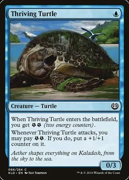 Thriving Turtle