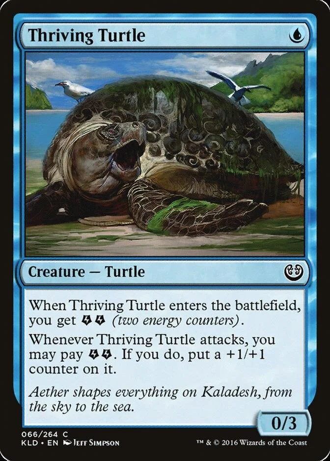 Thriving Turtle [KLD]