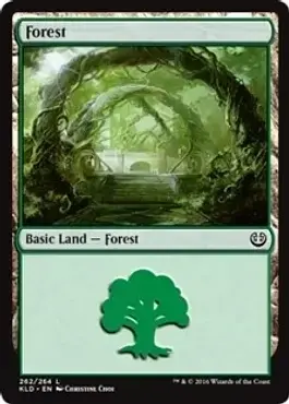Forest