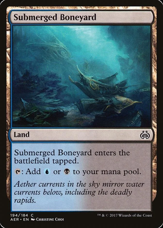 Submerged Boneyard [AER]