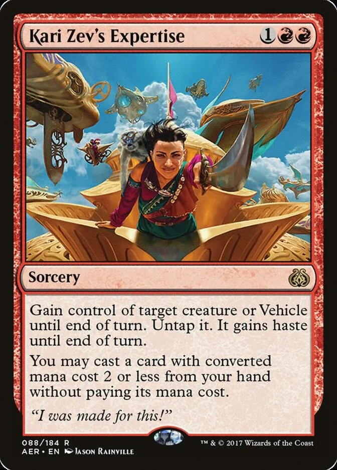 Kari Zev's Expertise [AER]