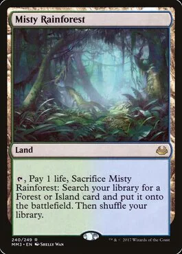Misty Rainforest