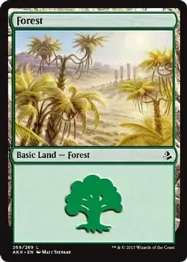 Forest