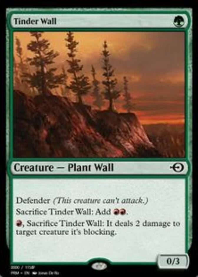 Tinder Wall <158837> [PRM]