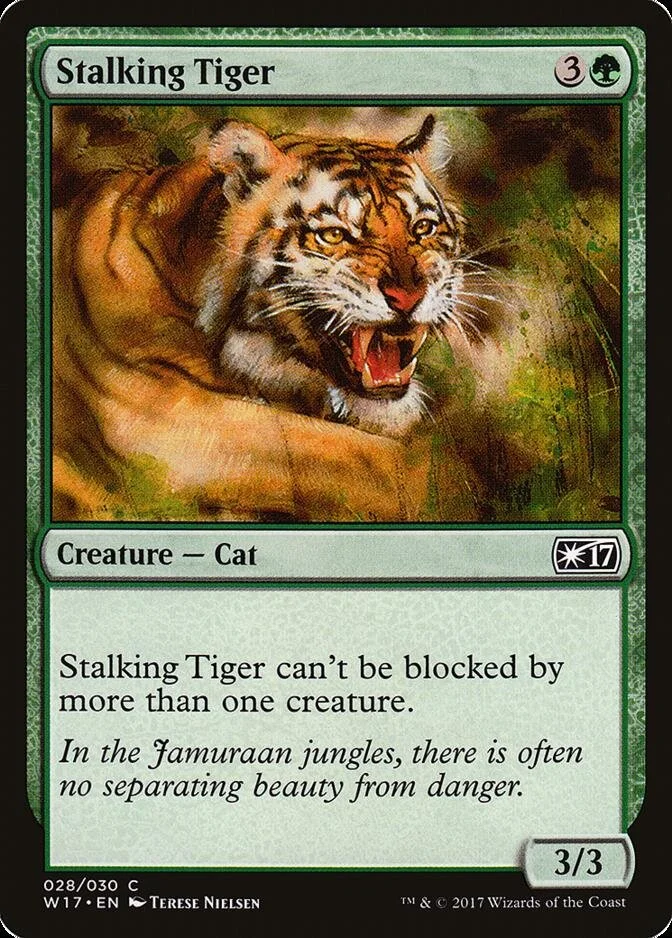 Stalking Tiger [W17]