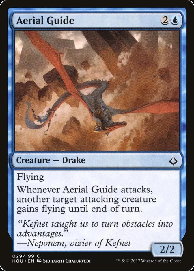 Aerial Guide [HOU] (F)