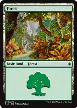Forest