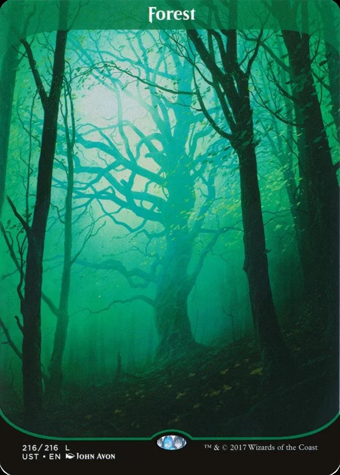 Forest [UST]