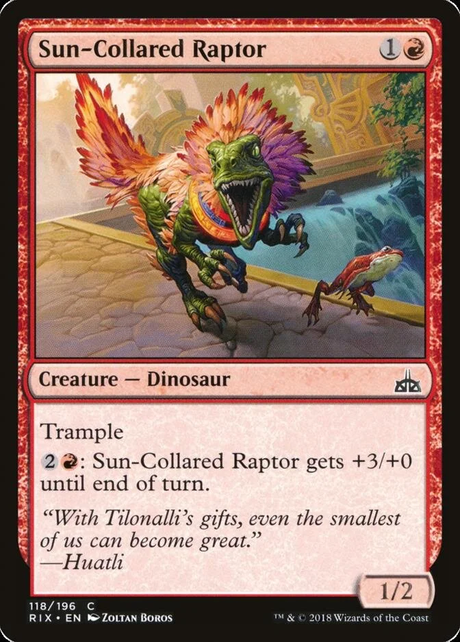 Sun-Collared Raptor [RIX]