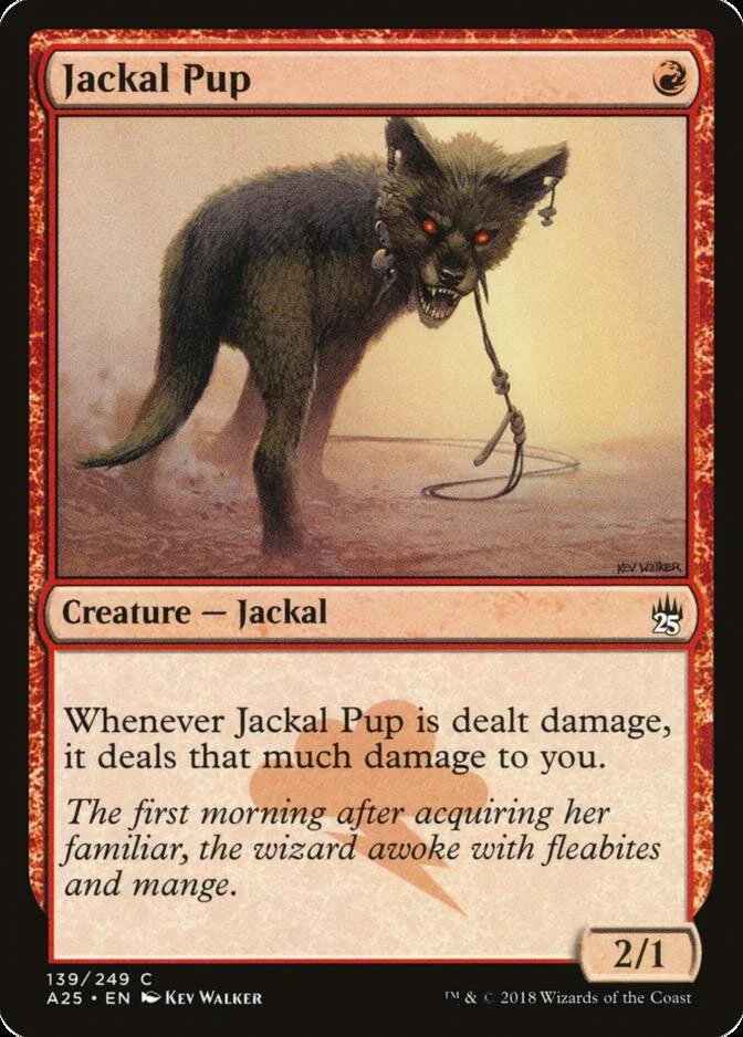 Jackal Pup [A25]