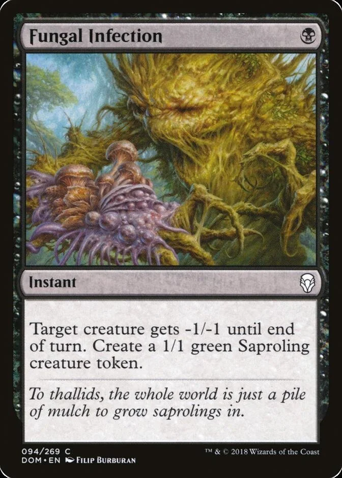 Fungal Infection [DOM]