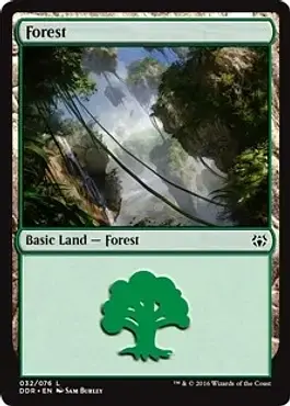 Forest
