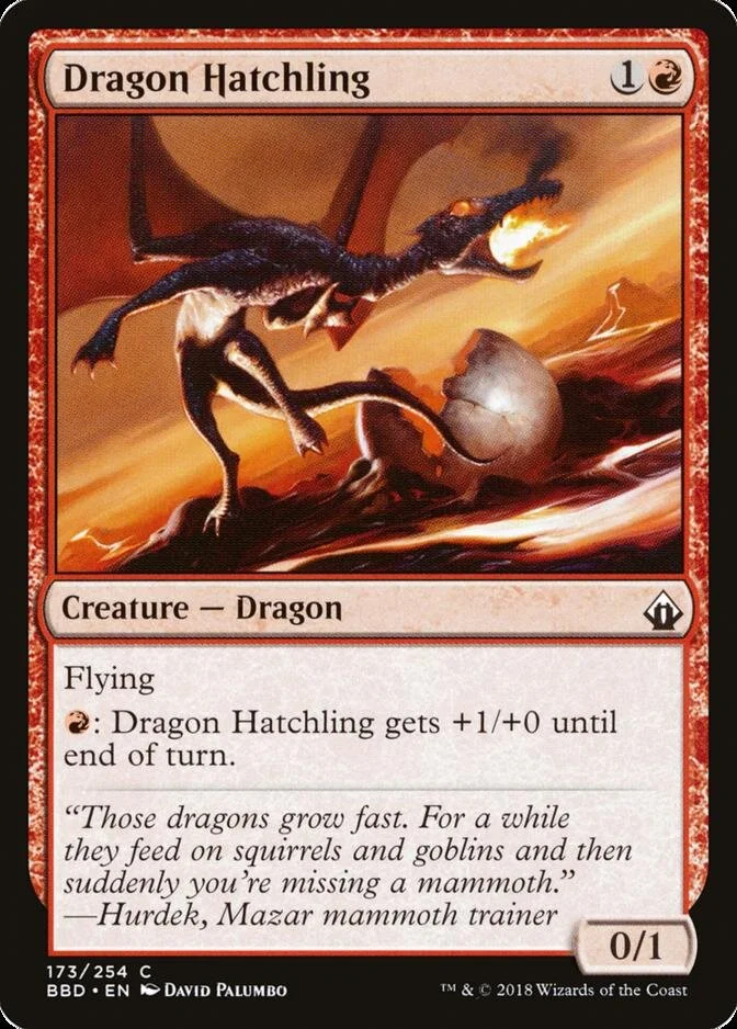 Dragon Hatchling [BBD]