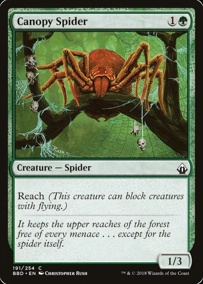 Canopy Spider [BBD]