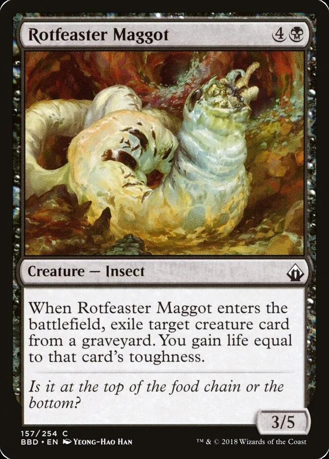 Rotfeaster Maggot [BBD] (F)