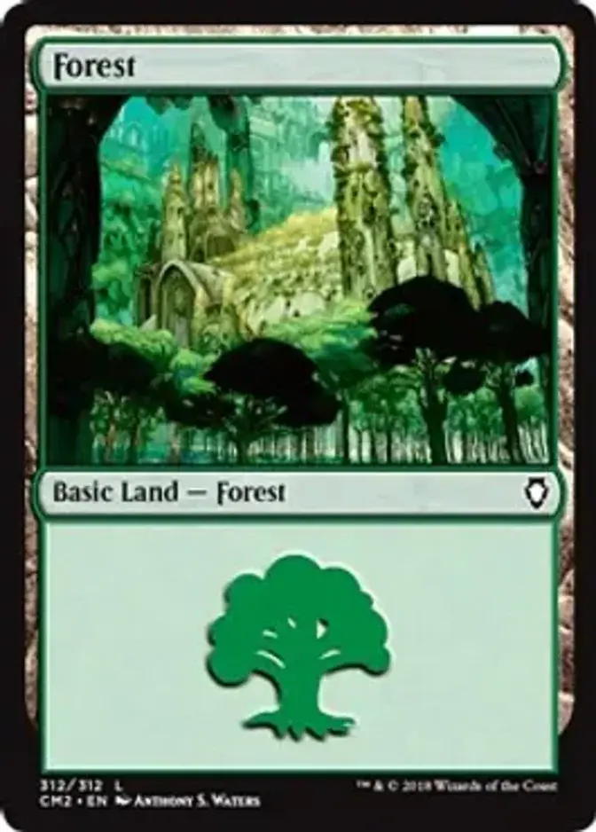 Forest <312> [CM2]