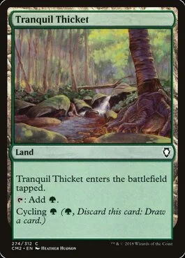 Tranquil Thicket