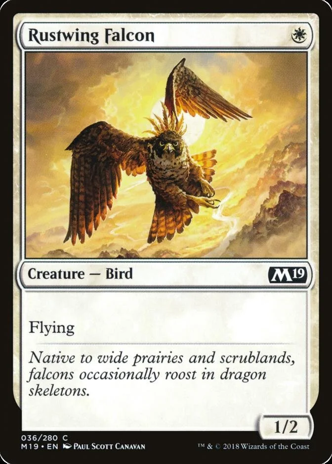 Rustwing Falcon [M19] (F)