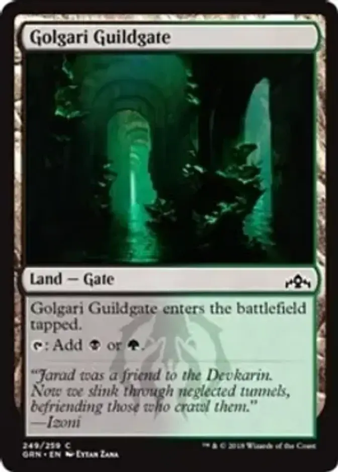 Golgari Guildgate <249> [GRN]