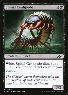 Spinal Centipede
