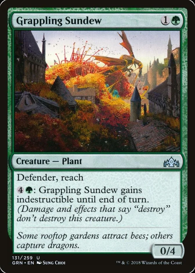 Grappling Sundew [GRN]