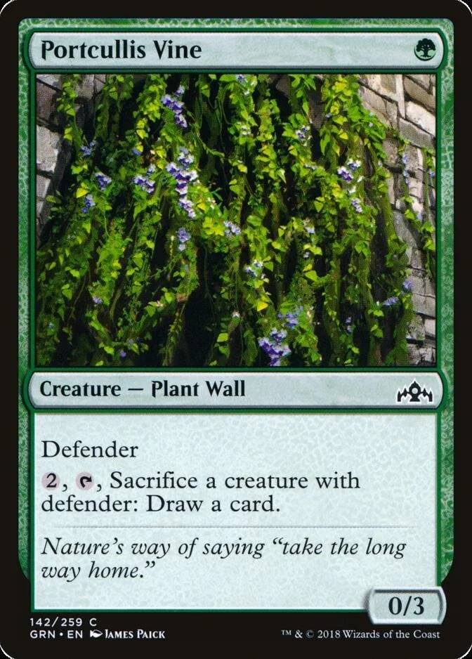 Portcullis Vine [GRN] (F)