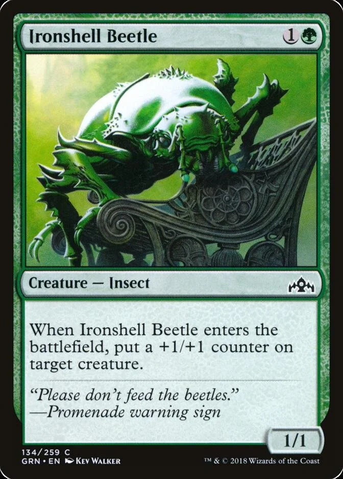 Ironshell Beetle [GRN] (F)