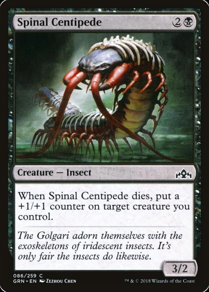 Spinal Centipede [GRN] (F)