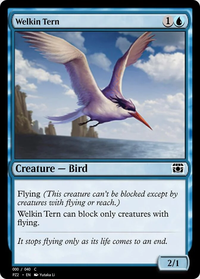 Welkin Tern [PZ2] (F)