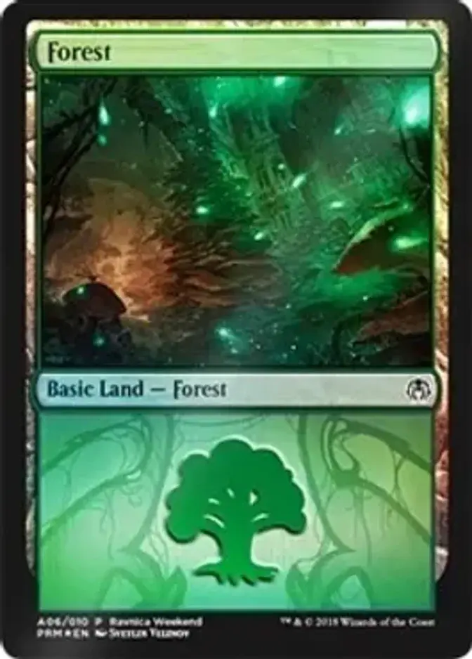 Forest <A06> [PRM-LPC] (F)