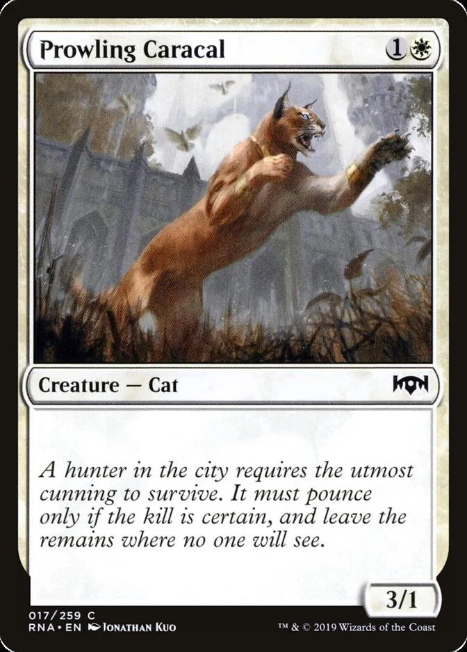 Prowling Caracal [RNA] (F)