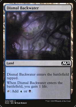 Dismal Backwater