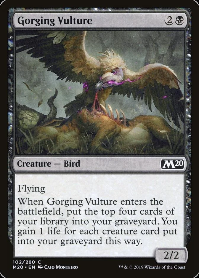 Gorging Vulture [M20]
