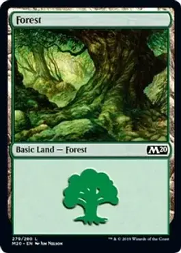 Forest