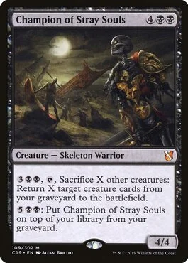 Champion of Stray Souls