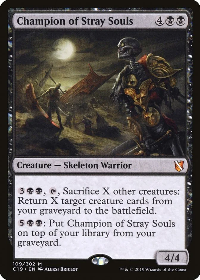 Champion of Stray Souls [C19]